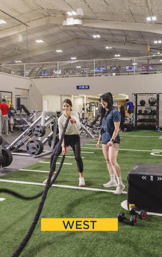Two women exercising with battle ropes indoors.